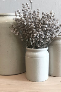 Antique Salt Glaze Crock